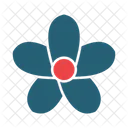 Plumeria Flower Nature Icon
