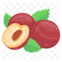 Plums Icon