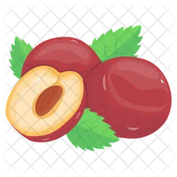 Plums  Icon