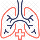 Pneumologia Respiracao Pulmoes Ícone