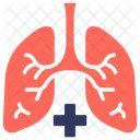 Pneumologia Respiracao Pulmoes Ícone