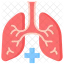 Pneumologia Respiracao Pulmoes Ícone