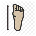 Podiatry Foot Anatomy Footwear Icon