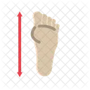 Podiatry Foot Anatomy Footwear Icon