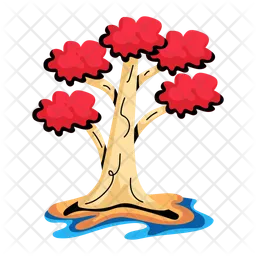 Poinciana Tree  Icon