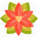 Poinsettia Flower Decoration Icon