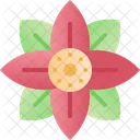 Poinsettia Flower Floral Icon