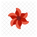 Poinsettia  Symbol