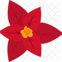 Poinsettia Flower Christmas Symbol