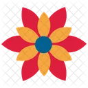 Poinsettia Flowers  Icon