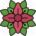 Poinsettia Botanical Flower Icon