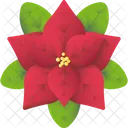 Poinsettia Christmas Flower Icon