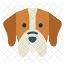 Pointer Dog  Icon
