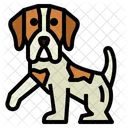 Pointer  Symbol