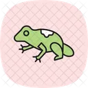 Poison Dart Frog Poisondartfrog Amphibian Icon