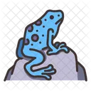 Poison Dart Frogs Poison Dart Frog Frog Icon