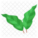 Poison Ivy Leaf  Icon