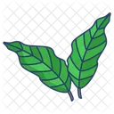Poison Ivy Leaf  Icon