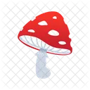 Poisonous Mushroom  Icon