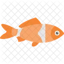 Poisson  Icône