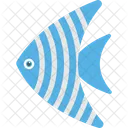 Poisson-ange  Icône