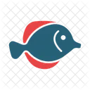 Poisson Papillon Thon Etoile De Mer Icône