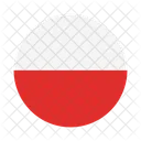 Poland International Global Icon