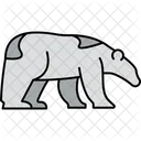 Polar Bear Animal Bear Icon