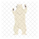 Polar Bear Arctic Icon