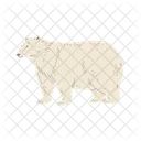 Polar Bear Arctic Icon