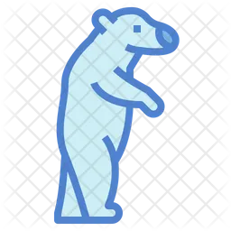 Polar Bear  Icon