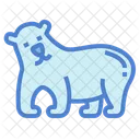 Polar Bear  Icon