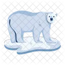 Polar Bear Wild Creature Bear Animal Icon