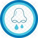Congestao Polen Alergia Congestao Nasal Nariz Entupido Sinusite Muco Respiratorio Nariz Entupido Congestao Sinusal Icon