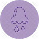 Congestao Polen Alergia Congestao Nasal Nariz Entupido Sinusite Muco Respiratorio Nariz Entupido Congestao Sinusal Icon