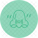 Congestao Polen Alergia Congestao Nasal Nariz Entupido Sinusite Muco Respiratorio Nariz Entupido Congestao Sinusal Icon
