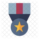 Police Medal  Icon
