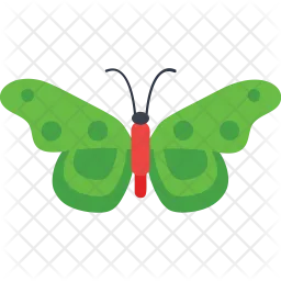 Polka Dot Butterfly  Icon