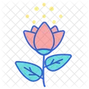 Pollen Folwer Rose Icon