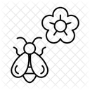  Icône