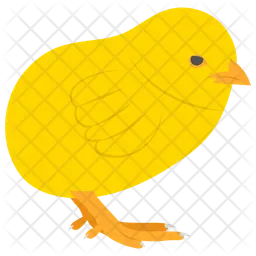 Pollito  Icono