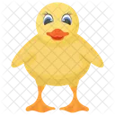 Chick Criatura Pluma Animal De Granja Icono