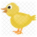 Chick Criatura Pluma Animal De Granja Icono