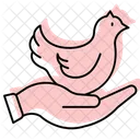 Pollito En Mano Pollito Mano Icono