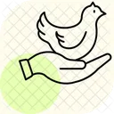 Pollito En Mano Pollito Mano Icono
