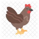 Pollo  Icono