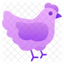 Pollo  Icono