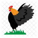 Gallo Pollo Comida Icono