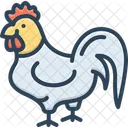 Pollo  Icono
