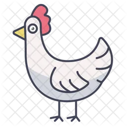 Pollo  Icono